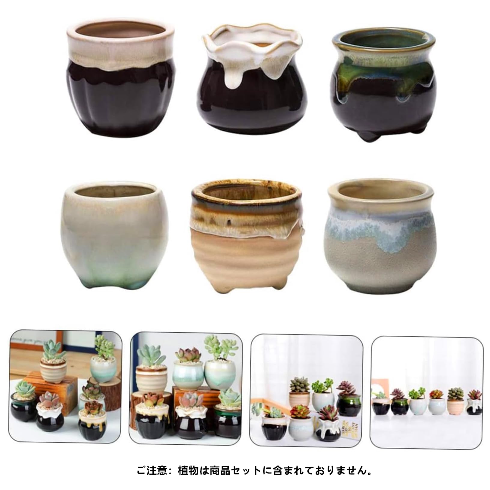 Amazon.co.jp: Facecolor ミニセラミックサボテンプランター